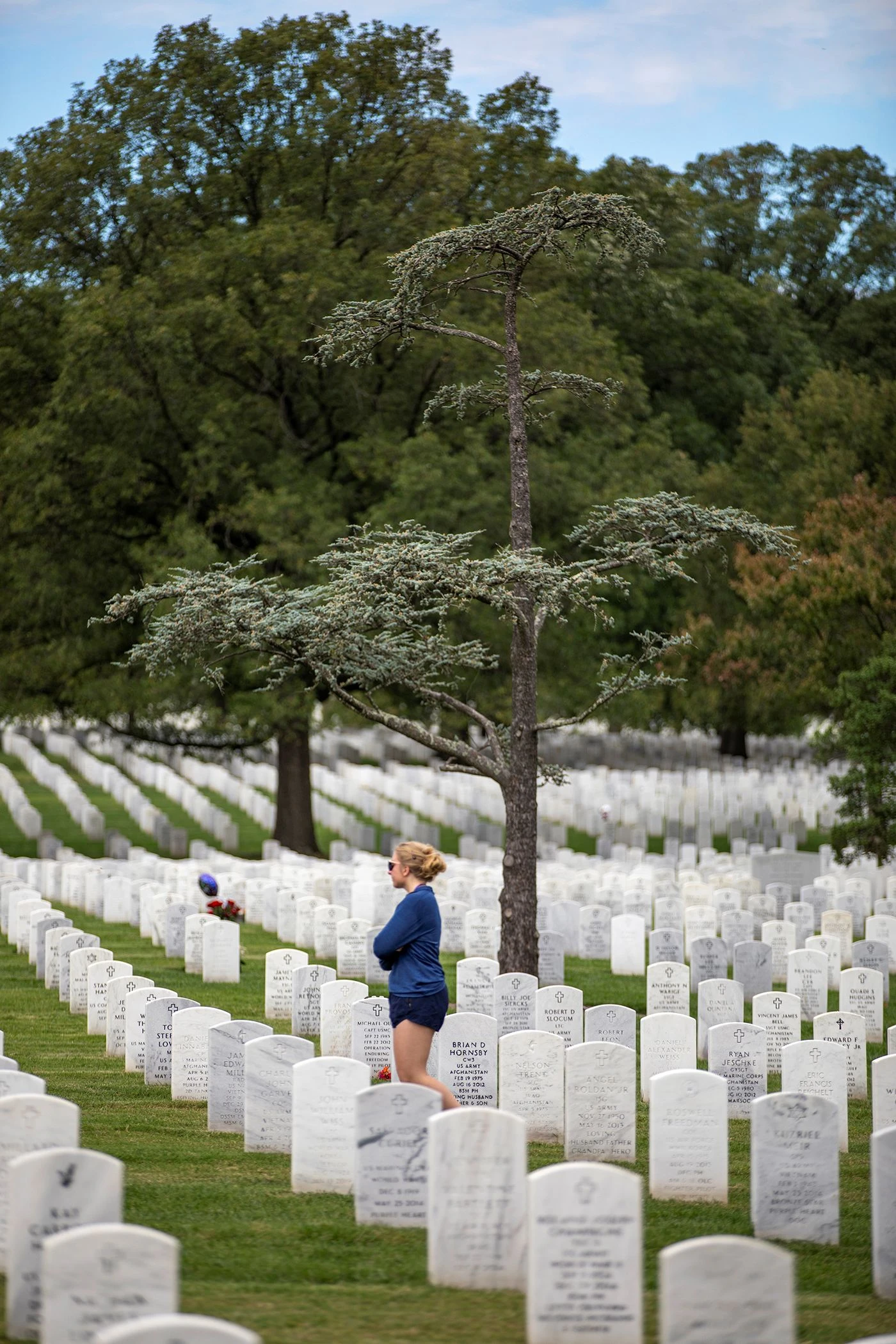 Student walks through cemetery