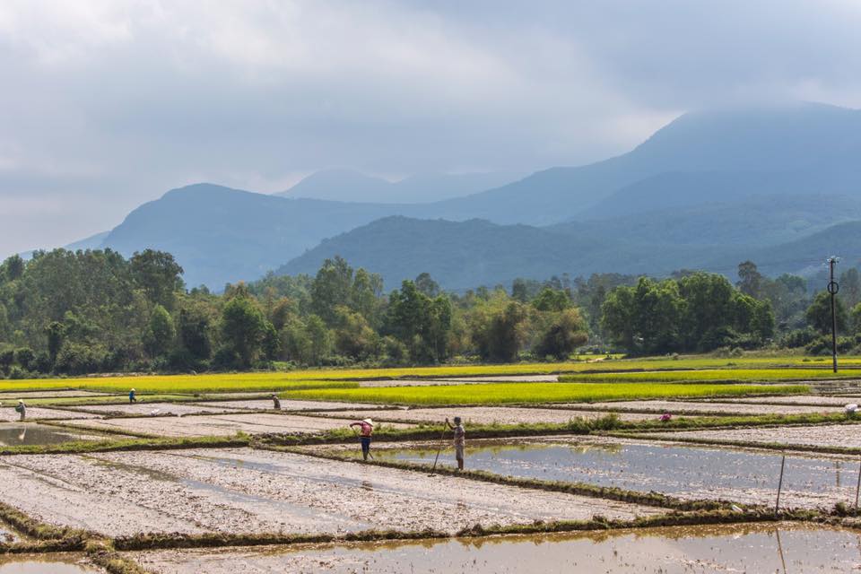 Fields in a different country