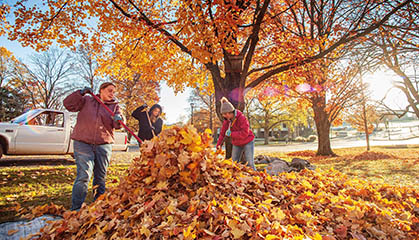 Students raking fall leaves.
