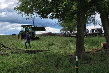 Students doing various farm chores, including operating a tractor