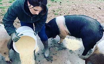 College of the Ozarks staff, faculty cover workstations in absence of students