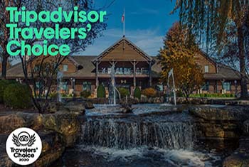 ALT TEXT NECESSARY HERE