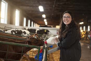 Senior Maddie Calton, agricultural business major from Tishomingo, Oklahoma, works in the dairy as her campus workstation.