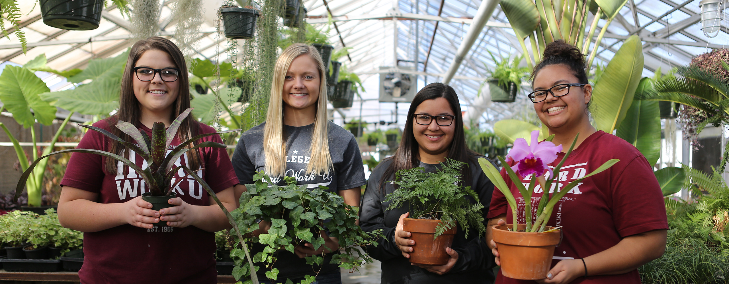 Students working in a greenhouse